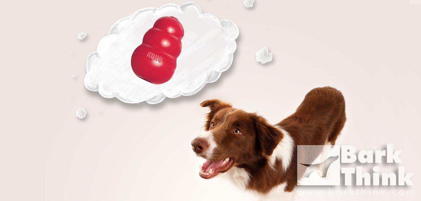 things to put in a kong for a dog