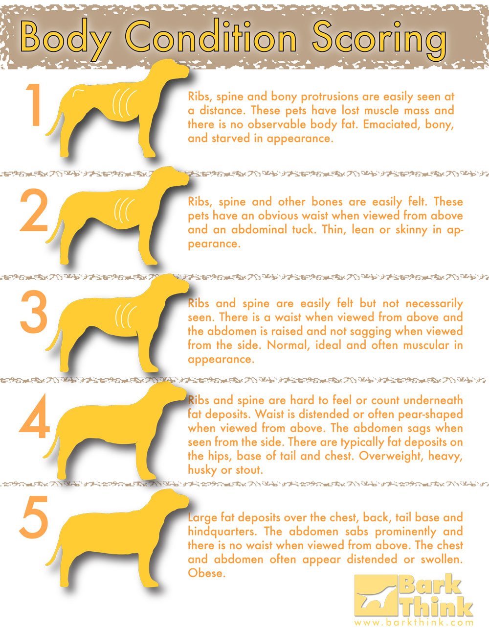 Dog S Nutritional Needs Chart