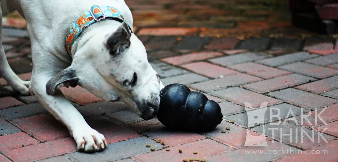 How to Clean & Sanitize KONG Dog Toys