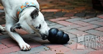 How to Clean & Sanitize Kong Dog Toys. The Best Way to Clean Dog Toys for Puppies.